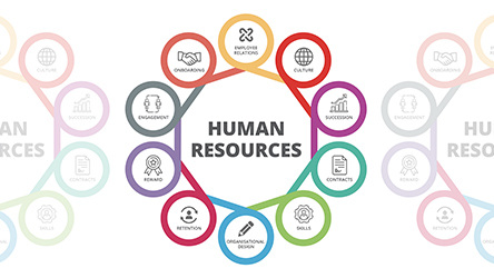 You will have a single dedicated HR Business Partner with New Dawn Resources.